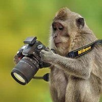 helloBanana