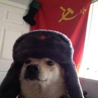 二万突突突