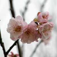 最美的守候