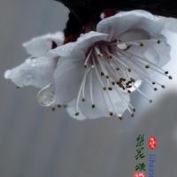 马全成