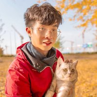 柚子盛夏