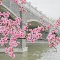 范er某锋