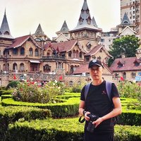 记忆中的橄榄树