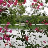 岑王老山