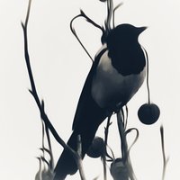 eduardw