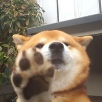 文刀二犬句