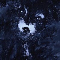 无枝woods