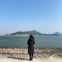 王悦君