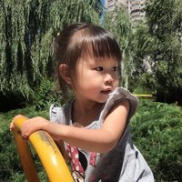 茶如意