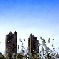 冬季的围城