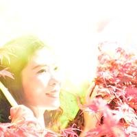 Ha罗