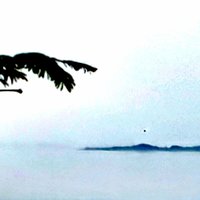郁林坤