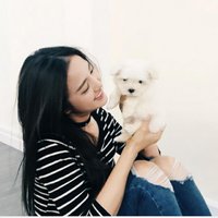 屈楚萧