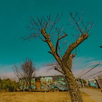 MrCCp影视机构