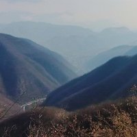 山里人9999