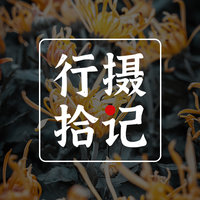 行摄拾记
