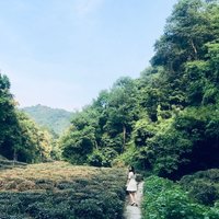 美丫_13