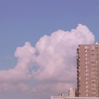 T橙黄橘绿