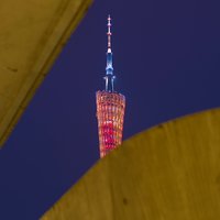 初学者2019