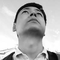 杨般若君