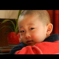wulaoshi86