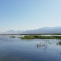 邸永