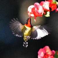 光与影的交替
