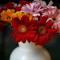 _MR-Huang_