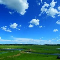 自然纯透