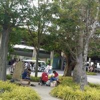 胡延茂