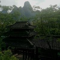大大四哥哥