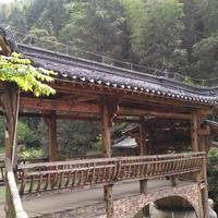 龙幸天下