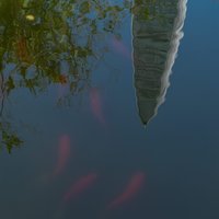 古浪行潮