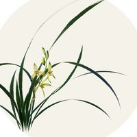 夕晰