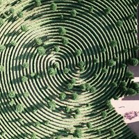 羚-羊