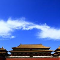 林荫大道