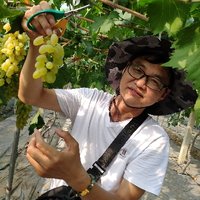 飞雪踏春