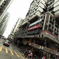 肥布布
