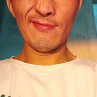 鲸语拾壹
