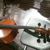 muyi