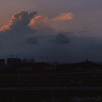 代三毛