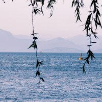 麻瓜的手