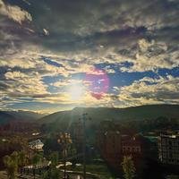 像素森林