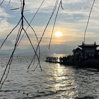 凉城l旧梦