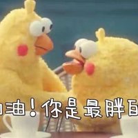 辉辉猪