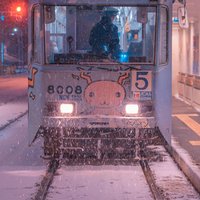 Lee948391
