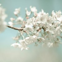 天高云淡017