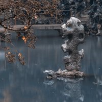 兰色夜光杯