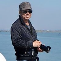 HYH黄叶