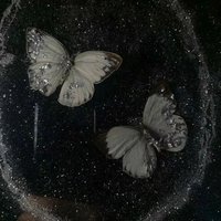 不是困